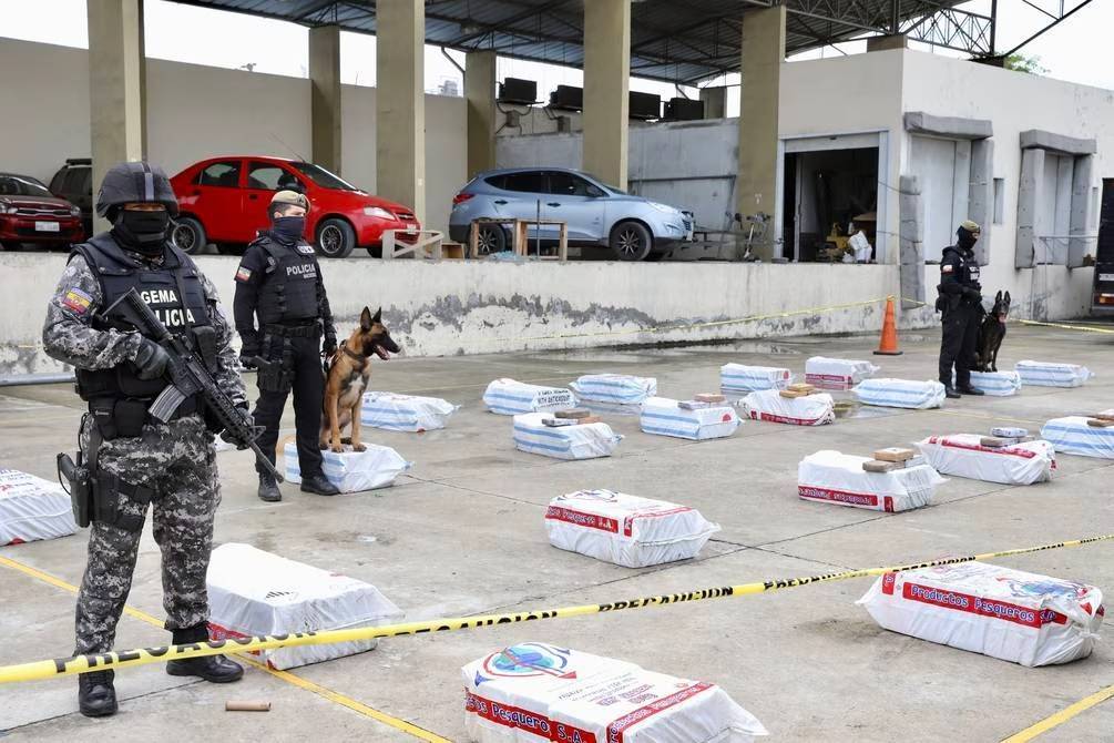 Desde cuándo opera la mafia albanesa en Ecuador