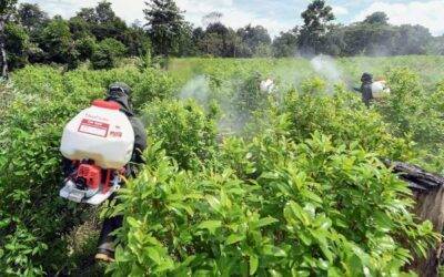 Colombia récord mundial de cultivo de coca en 2023.